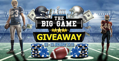 The Big Game Giveaway